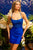 Lace Up Back Embroidered Appliques Beaded Cocktail TM1013S