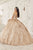 Off the Shoulder Floral Ball Gown 15712