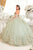Floral Embellishment Ball Gown 15716
