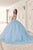 Floral Quinceanera Ball Gown 15719