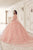 Floral Quinceanera Ball Gown 15719