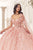 Floral Quinceanera Ball Gown 15719