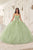 Floral Quinceanera Ball Gown 15719