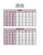 Sonia Pena 1250034 Set  Blouse and Pants