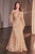 Long Sleeves A-line  Dress La Divine CD0240