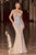 Ladivine CD715 Strapless Illusion Evening Dress