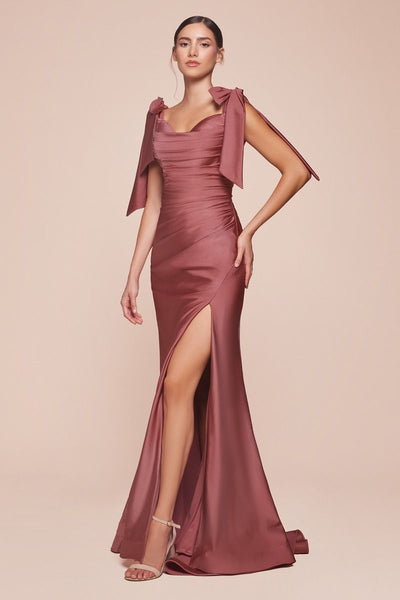 Stretch Luxe Jersey Ruched Evening Gown CD943  Sparkly Gowns