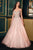 Crystal Embellished A-Line Gown La Divine CDS541