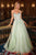 Ladivine CDS541 Crystal Embellished A-Line Gown