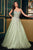 Crystal Embellished A-Line Gown La Divine CDS541