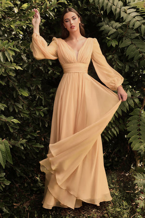 Long  Sleeves V- Neckline Chiffon Evening Dress CD0192