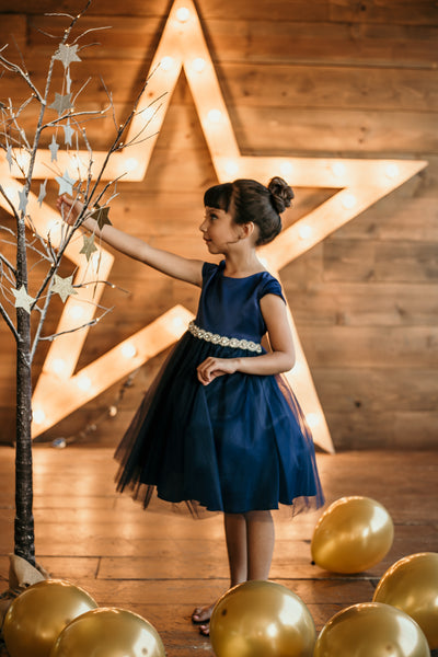 Elegant Satin and Tulle Holiday Dress for Little Girls 452 10 / Red