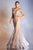 Feather Embellishment Long Prom Gown C57