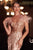 Feathers Off-Shoulder Embroidered Evening Dress J824
