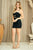 Fitted Cocktail Dress 2070S
