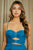 Fitted Cocktail Dress 2070S
