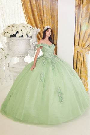 Lace Layered Tulle Ball Gown 15710