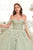 Floral Embellishment Ball Gown 15716