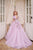 Flower Girl First Communion Gown Celestial 3616