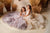 Flower Girl First Communion Gown Celestial 3621