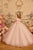Communion Flower Girl Dress Celestial 3829