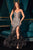 Ruffled Mermaid Dress LaDivine CC2488