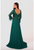 Terani 1921M0473 Vestido largo con mangas adornadas con plumas