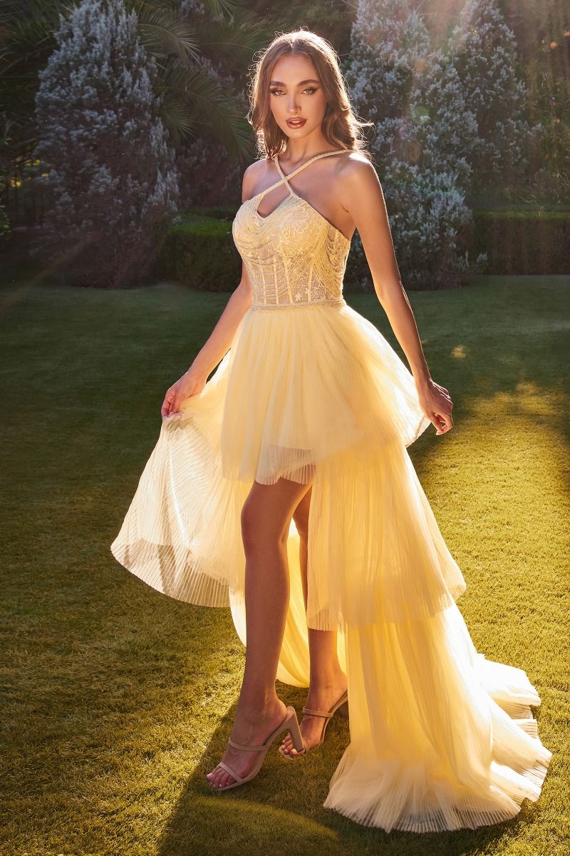 Andrea & Leo A1239 High Low Beaded Gown 4 / Lightyellow Andrea & Leo A1239 High Low Beaded Gown 4 / Lightyellow