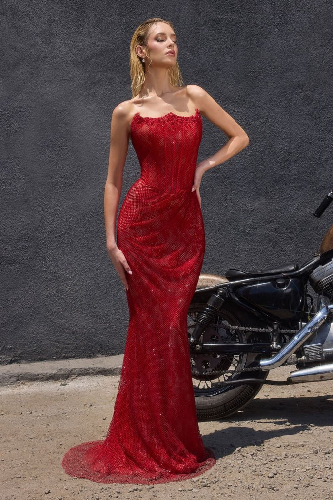 Ladivine CB162 Shimmering Mesh   Evening Dress