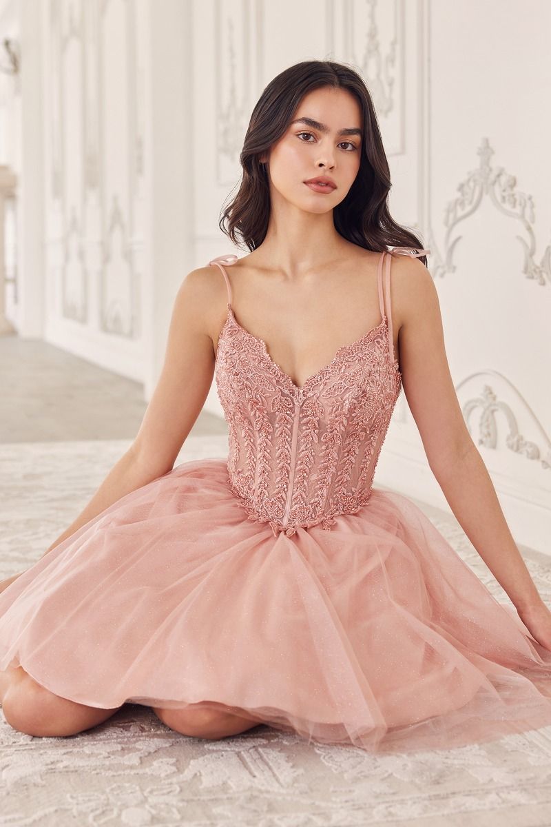 Short A-Line Tulle Dress CD0236 Sparkly Gowns Short A-Line Tulle Dress CD0236 Sparkly Gowns