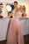 Ladivine CD2426 A-line Tulle Dress