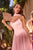 Chiffon A-Line Corset Dress Ladivine CD386