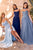 Chiffon A-Line Corset Dress Ladivine CD386