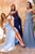 Chiffon A-Line Corset Dress Ladivine CD386