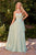 Chiffon A-Line Corset Dress Ladivine CD386