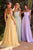 Chiffon A-Line Corset Dress Ladivine CD386