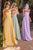 Chiffon A-Line Corset Dress Ladivine CD386