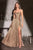 A-Line Fitted Gown La Divine CD409