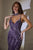 Ladivine CD719 Fitted Gown with Chocker