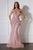 Ladivine CD719 Fitted Gown with Chocker