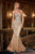 Ladivine CD719 Fitted Gown with Chocker