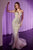Ladivine CD767 Strapless Crystal Fitted Evening Dress