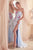 Strapless Floral Sequin Dress CD811