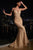 Rhinestone Embellished Fitted Gown CD845