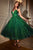 Plunging Neckline Glitter Midi Dress CD996T