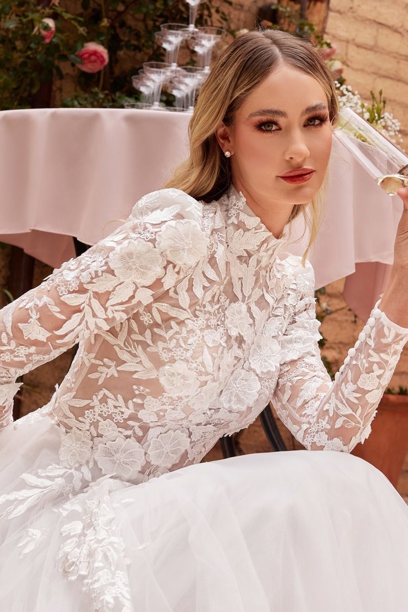Long Sleeve Lace Wedding Ball Gown CDS433W Sparkly Gowns Long Sleeve Lace Wedding Ball Gown CDS433W Sparkly Gowns