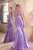 Glitter and Lace Mermaid Gown CDS470