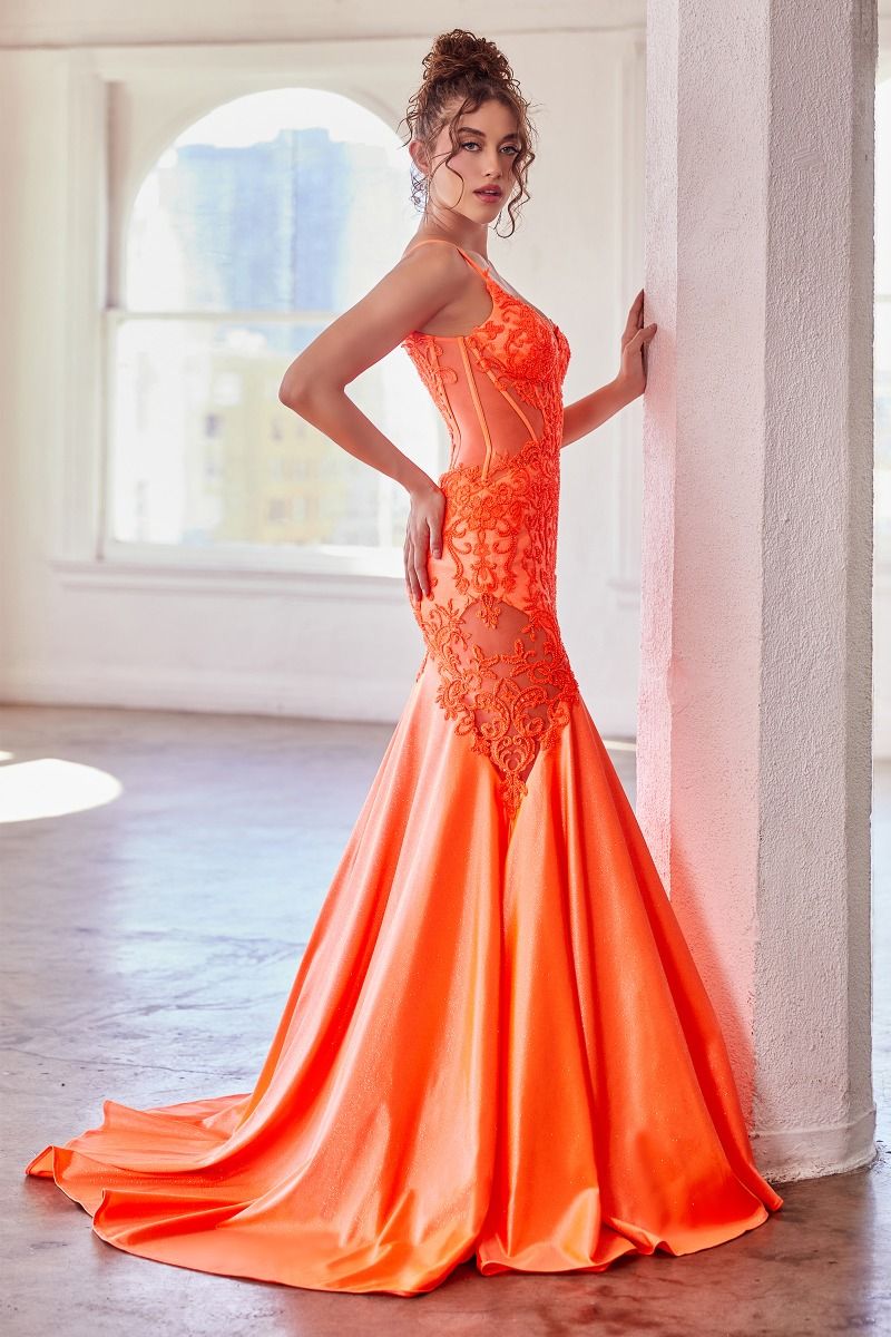 Glitter and Lace Mermaid Gown CDS470 Sparkly Gowns Glitter and Lace Mermaid Gown CDS470 Sparkly Gowns