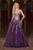 Ladivine CDS541 Crystal Embellished A-Line Gown