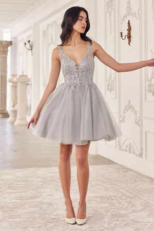 Beaded A-Line Tulle Short Dress CY022